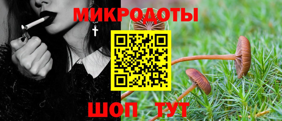 Галлюциногенные грибы мицелий  Вход с VPN  Александров  Галлюциногенные грибы ЛСД 